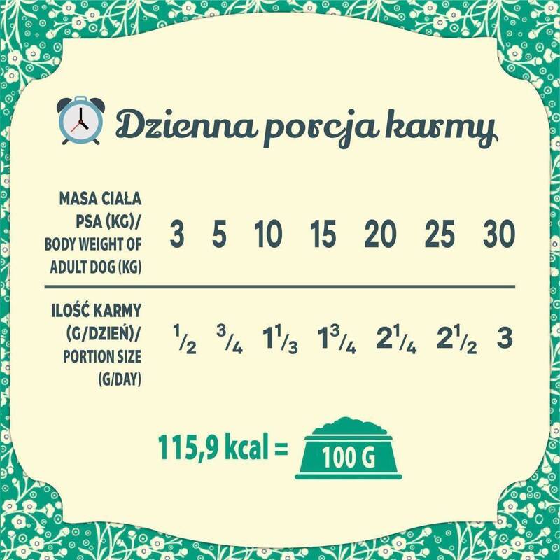 FOLK karma mokra dla psa RYBY 800g