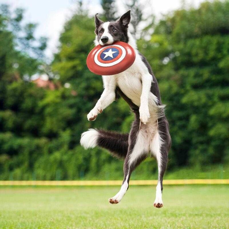 Frisbee Avengers Capitan America zabawka dla psa 2,5x23x23cm