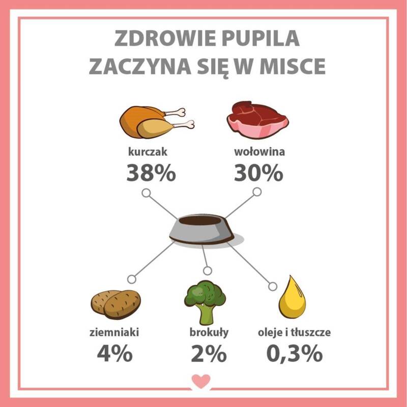 Karma mokra dla psa PUPIL Premium All Meat ADULT kurczak i wołowina 800 g