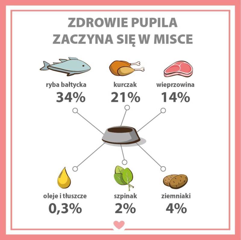 Karma mokra dla psa PUPIL Premium All Meat ADULT ryba bałtycka 800 g