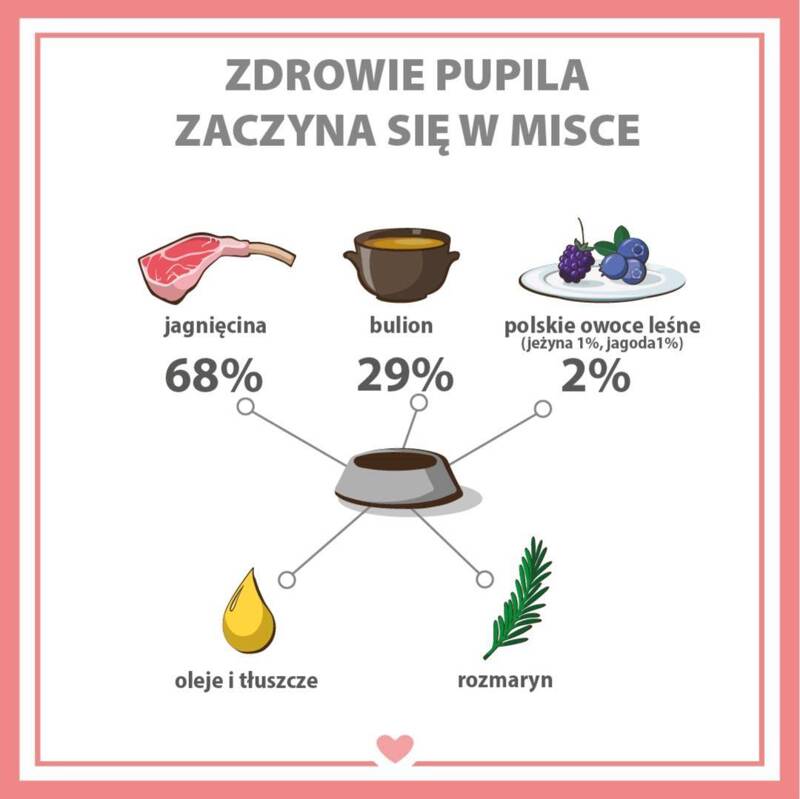 Karma mokra dla psa PUPIL Premium All Meat GOLD comber jagnięcy 800 g