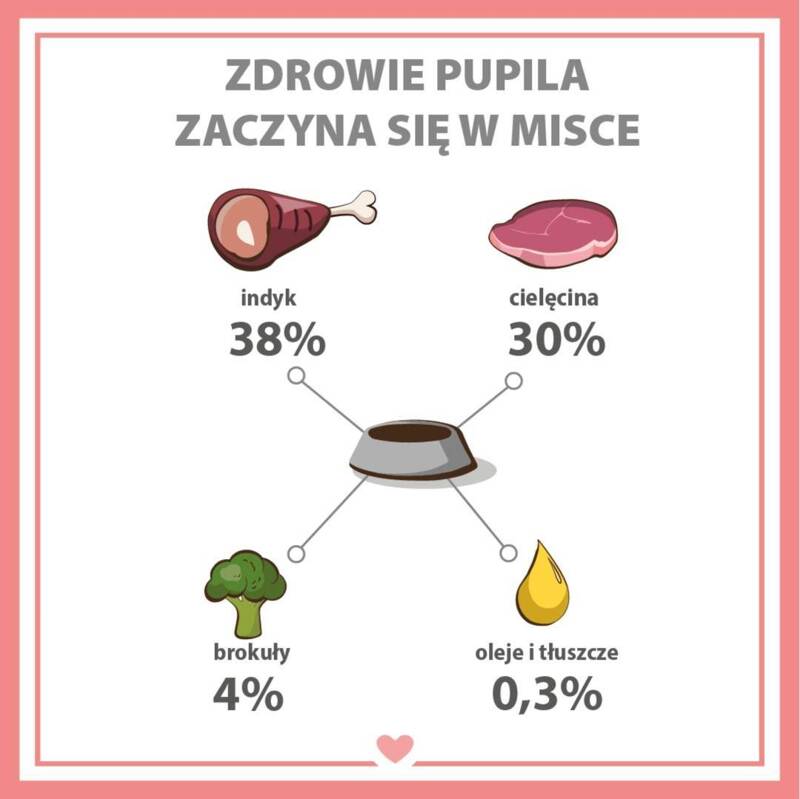 Karma mokra dla psa PUPIL Premium All Meat JUNIOR indyk i cielęciną 800 g