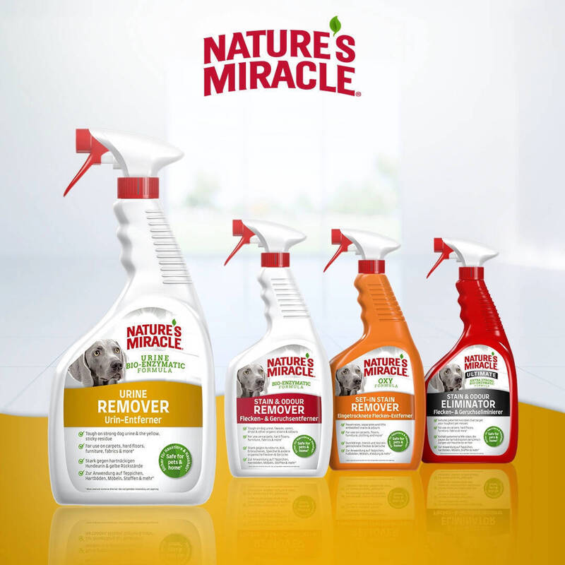 Natures Miracle URINE płyn do usuwania plam i zapachu moczu kot pies 946ml